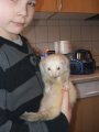 picture thumbnail