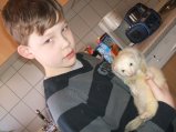 picture thumbnail
