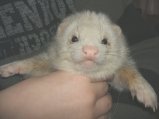picture thumbnail